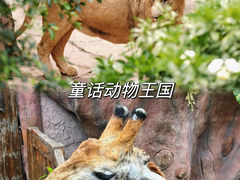 -长鹿旅游休博园
