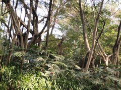 -白云山风景名胜区