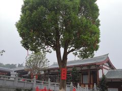 -莆田南少林寺