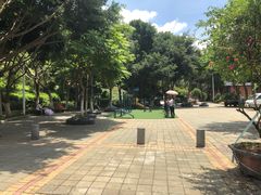 -仙岳公园