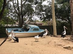 -费瑟代尔野生动物园