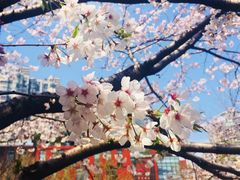 -上海体育场(地铁站)