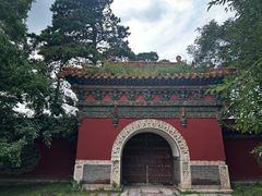-北陵公园
