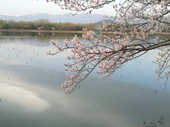 -颐和园