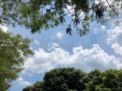 -阳台山森林公园