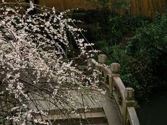 -北寺塔