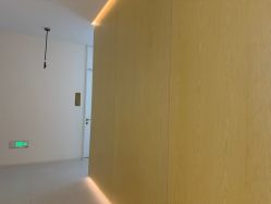 -苑苑vbeauty科技美容SPA