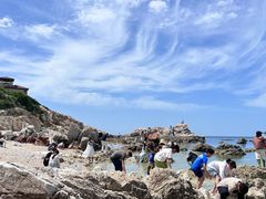 -养马岛旅游度假区