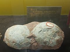 -惠州科技馆