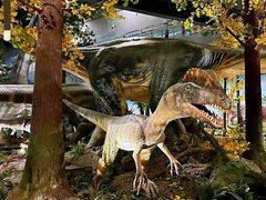 -湖南省地质博物馆