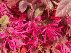 -玉雕湾国际玉城-石佛寺