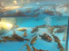 -耕渔小院·湖南鱼鲜(望城店)