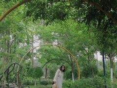 -合肥滨湖国家森林公园