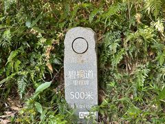 -梧桐山风景名胜区