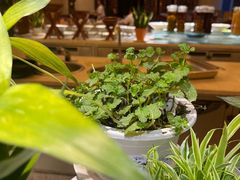 -鲁商铂尔曼大酒店·铂丽自助餐厅