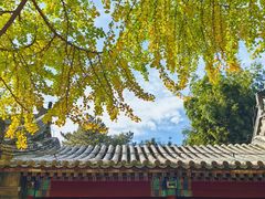 -潭柘寺景区