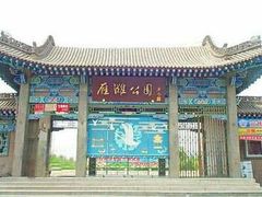 -雁滩公园
