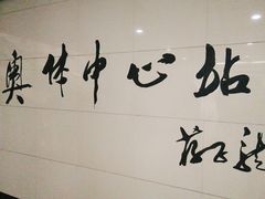 -奥体中心(地铁站)