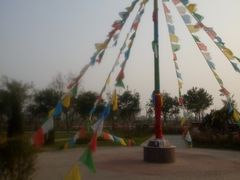 -武清南湖绿博园