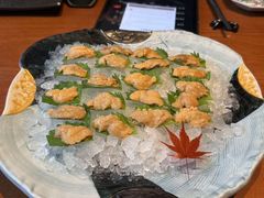 -月龍吟(朝龙汇店)