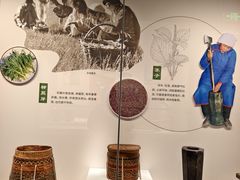 -呼伦贝尔民族博物馆