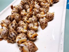 花螺-王庄阿咪海鲜大排档(象园店)
