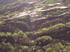 iphone_upload_pic-碧峰峡风景区