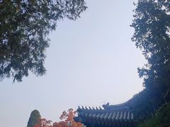 -香山公园