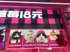 -K22.酸奶草莓(长春上海路万达店)