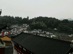 android_upload_pic-九华山风景区月身宝殿