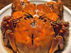 醉蟹-老吉士酒家(天平路店)