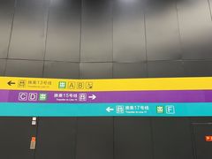 -望京西(地铁站)