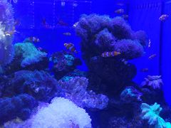 -多彩贵州城极地海洋世界