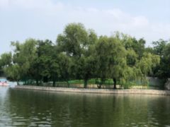 -北陵公园