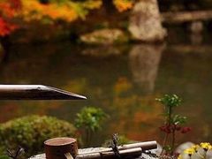 -龙达温泉生态城