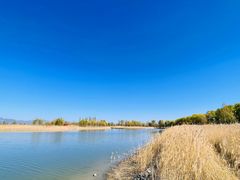 -野鸭湖国家湿地公园