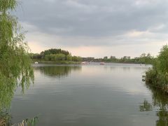 -杭州湾海上花田景区