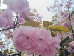 -中国农业博物馆
