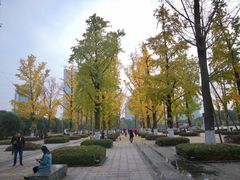 -百林公园-两江幸福广场