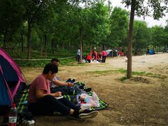 -东郊湿地公园