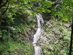 -石台牯牛降景区