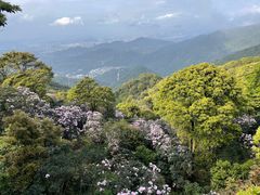 -梧桐山风景名胜区