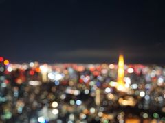-六本木新城展望台(东京城市景观)