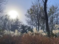 -济南植物园