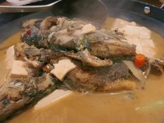-福子家·闽北光泽菜(华林店)