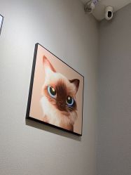 -洗脸猫·洗脸吧