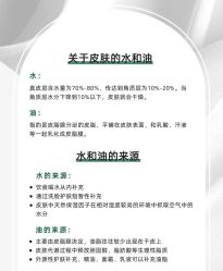 点击看大图 -玛莲朵·海菲秀冰珀科