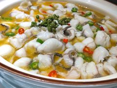 -青花椒花椒鱼(合生汇店)