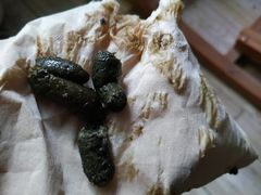 -安安宠医·安宠宠物医院