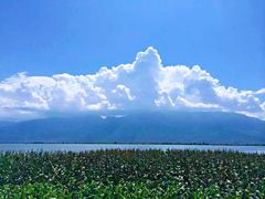 -大理洱海